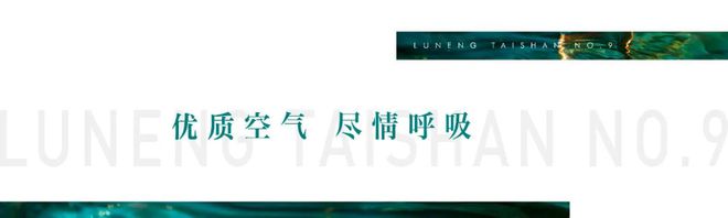 @鲁能泰山九号楼盘详情-苏州房天下尊龙凯时鲁能泰山九号2024网站(图9)